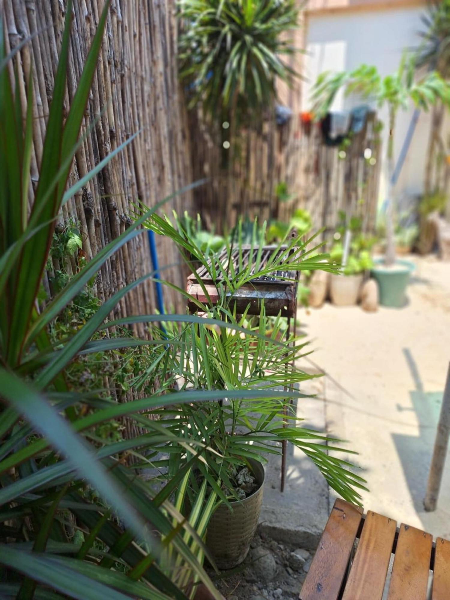 Pagudpud Rinnovati Luaran gambar